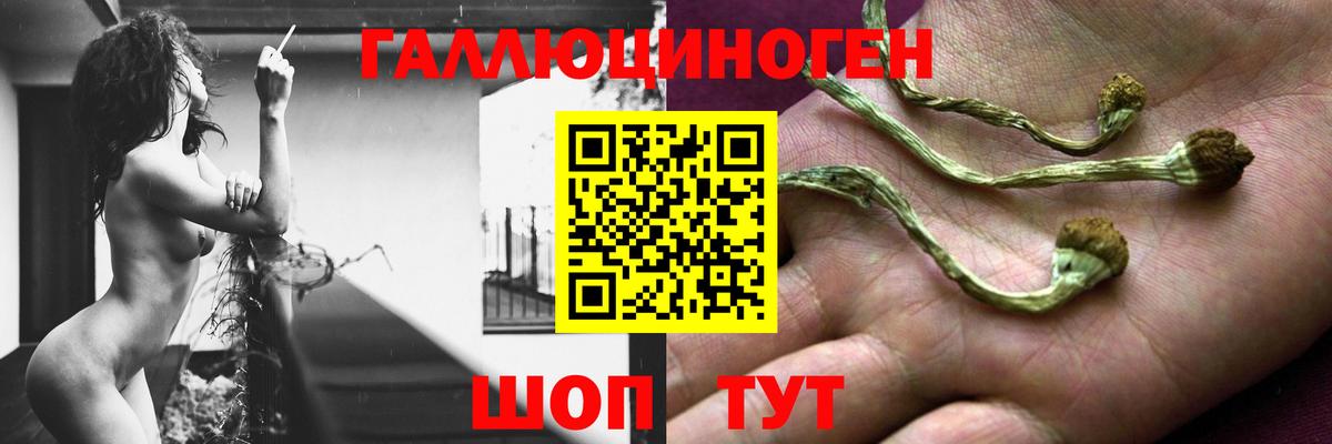 Галлюциногенные грибы мицелий Анапа